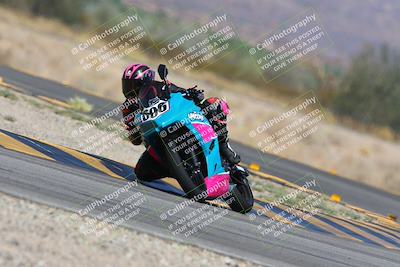 media/Oct-05-2024-Race Pace (Sat) [[aa7b44e117]]/9-Turn 14 (1135am)/